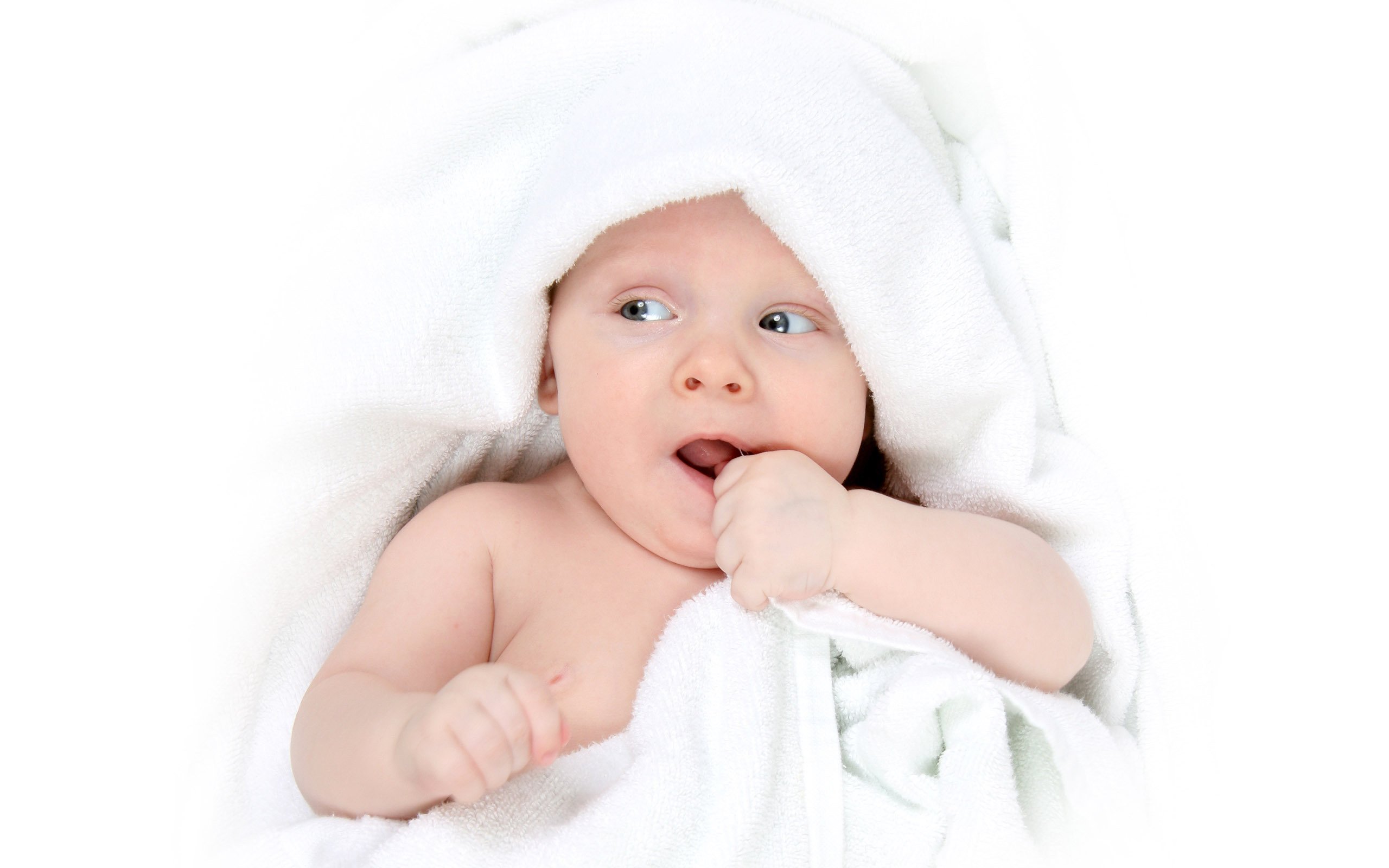 银川代怀生子助孕机构鲜胎和冻胎哪个成功率高